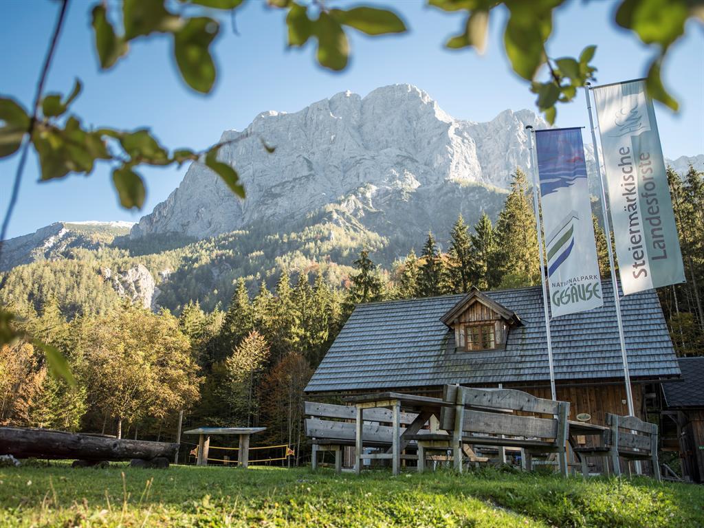 Campingplatz Forstgarten